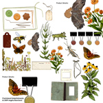 Prairieland Embellishments