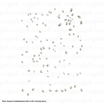 Pearl Clusters Embellishment Mini