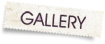 Scrap Girls Gallery