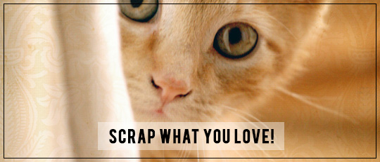 Scrap What You Love