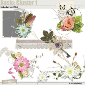 Basic Clusters Embellishments