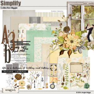 Simplify Collection