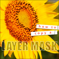Copy a Layer Mask free video Tutorial