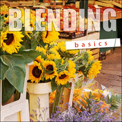 Basics of Blending free video Tutorial